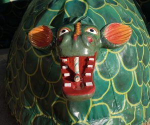 Cucafera petita